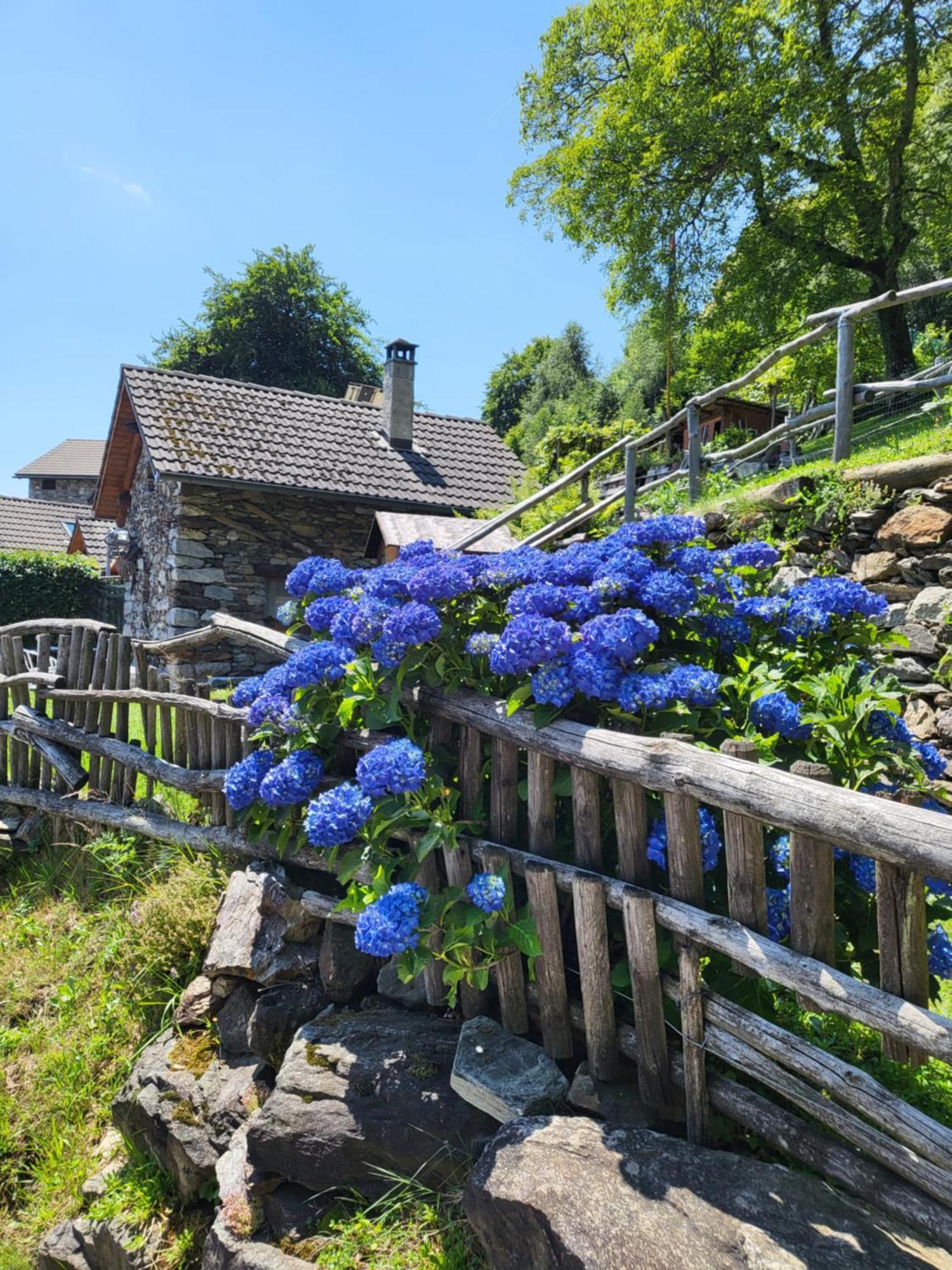 Casa Poiana Villa Ronco sopra Ascona Kültér fotó